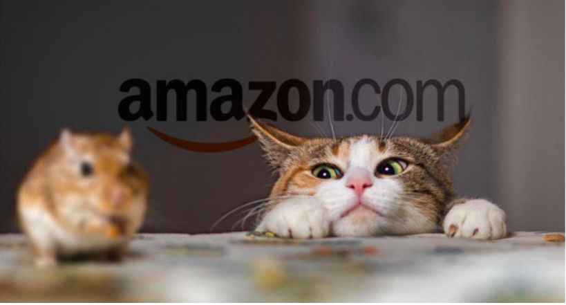 Defending Your Business Against Amazon: 3 Questions You Need To Ask Yourself Right Now